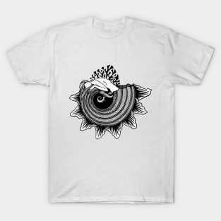 Shell girl T-Shirt